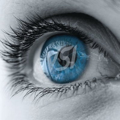 VSI Executive Education logo